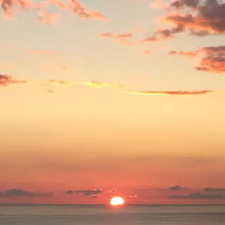 Cantinho Flores Ii *