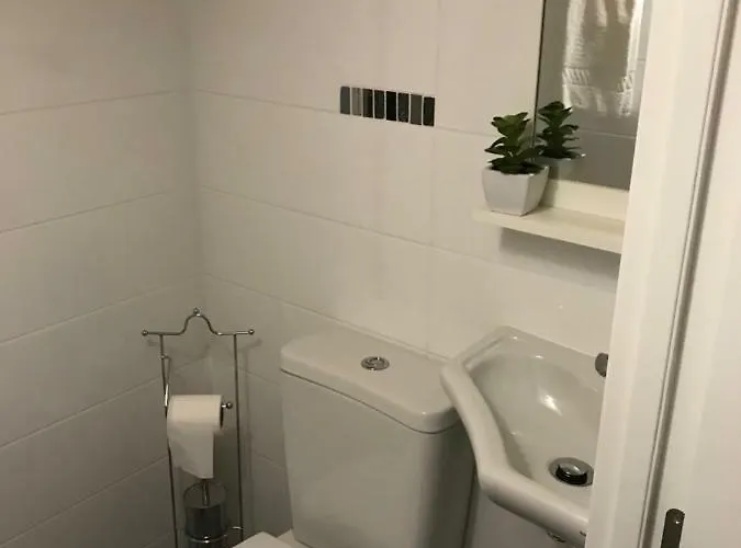 Cantinho Flores Ii Daire