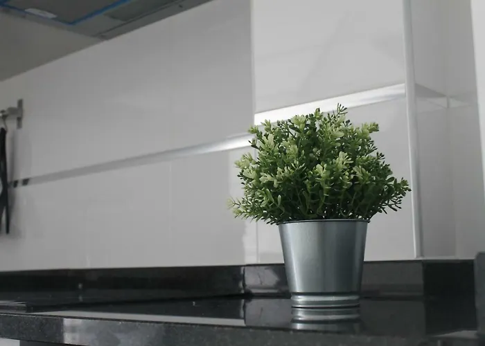 Daire Cantinho Flores Ii Nazaré